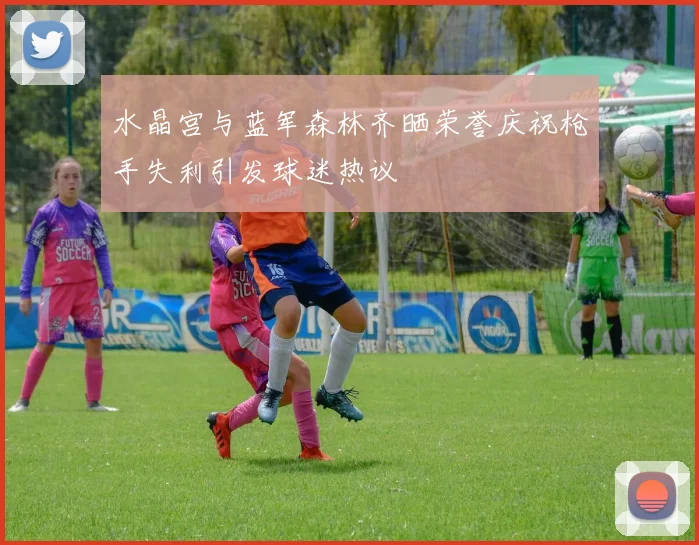 水晶宫与蓝军森林齐晒荣誉庆祝枪手失利引发球迷热议