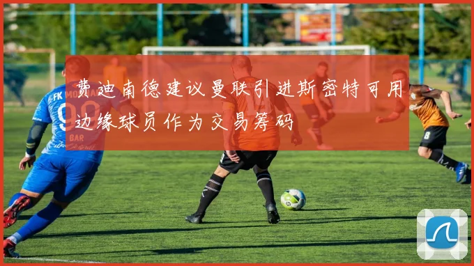 费迪南德建议曼联引进斯密特可用边缘球员作为交易筹码