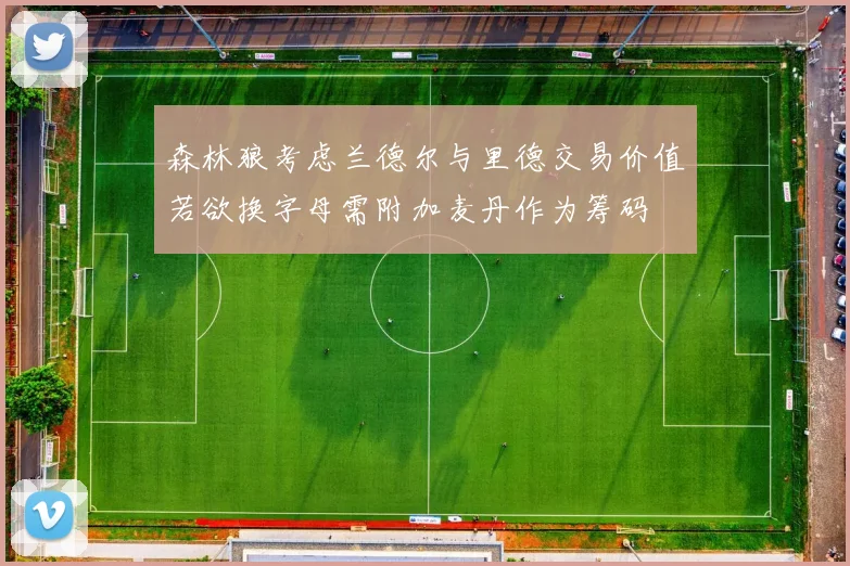 森林狼考虑兰德尔与里德交易价值若欲换字母需附加麦丹作为筹码