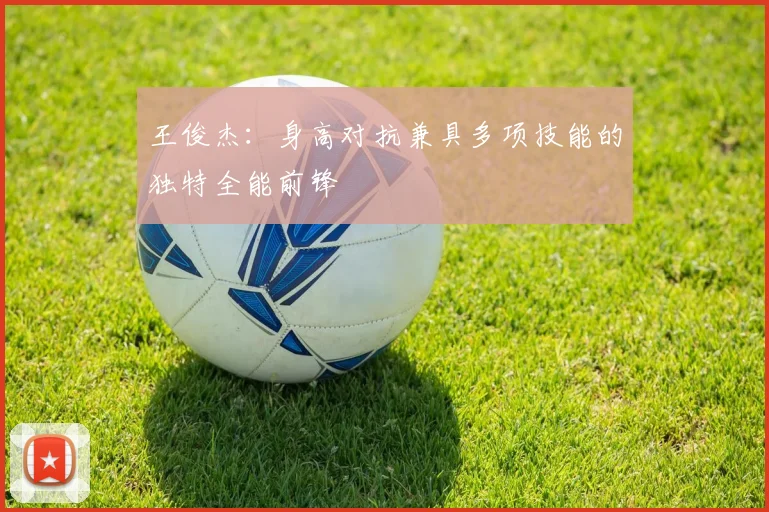 王俊杰：身高对抗兼具多项技能的独特全能前锋
